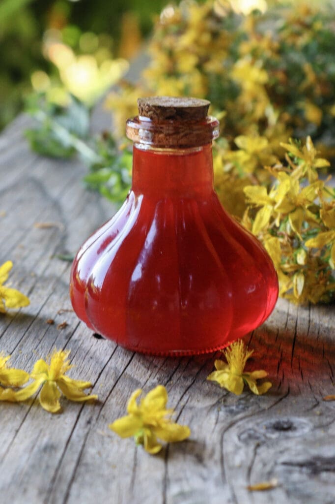 image of St. John's Wort infused oil in a bottle